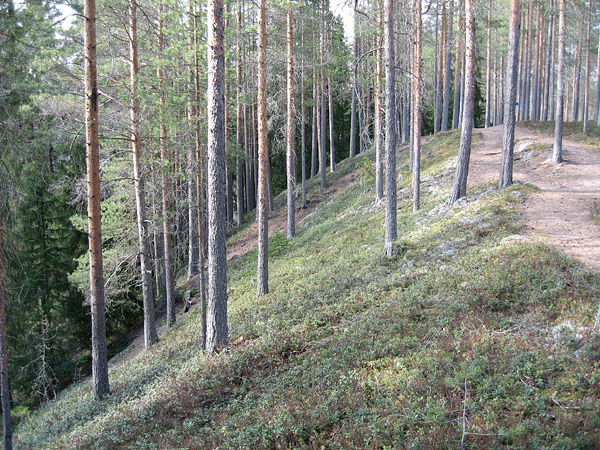 Kalajoki